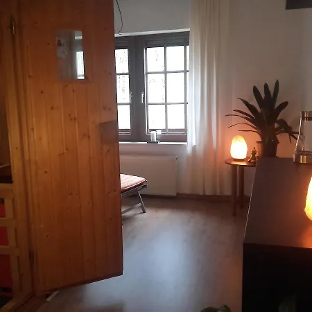 Froschloch Guest house *